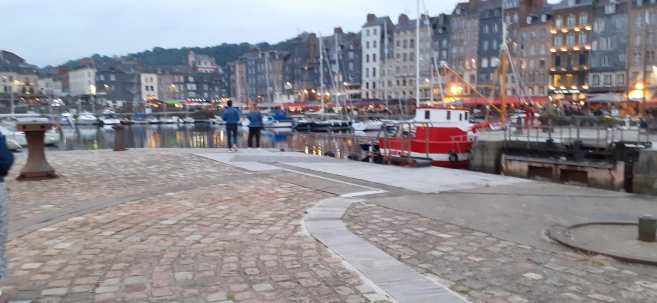 Le Puits Apartment Honfleur Bagian luar foto
